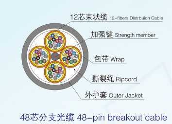 Break-out Cable III