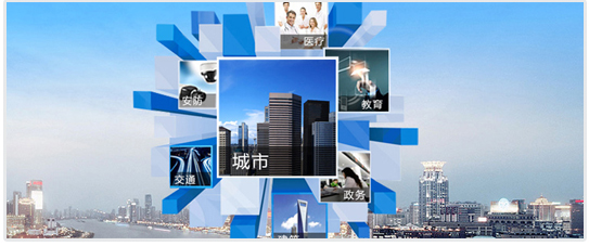 Company profile